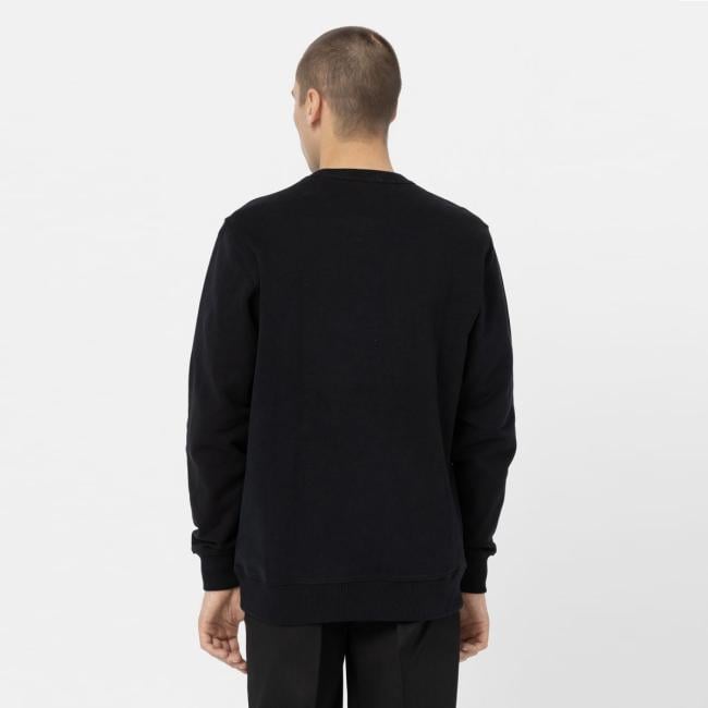 Dickies Felpa Aitkin Black Imperial - 2