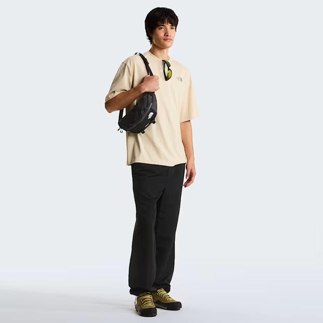 The North Face T-shirt Plant & Flora Oversize Desert Stone - 5