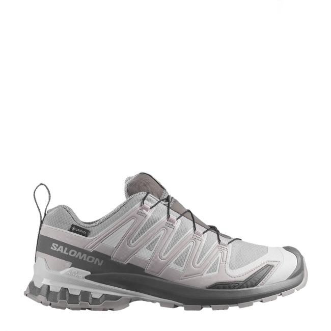 Salomon Scarpa XA Pro 3D V9 Gore-Tex Alloy/Castelrock/Lunar Rock - 1
