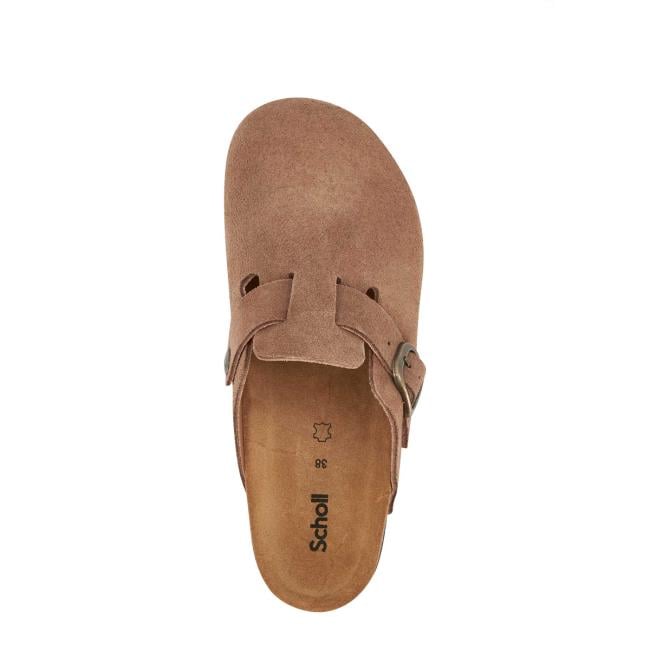Scholl Zoccolo Fae New Taupe - 3