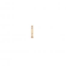 Liu Jo Letterina in Metallo con strass I - 1