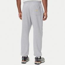 The North Face Joggers Expedition Celebration TNF Light Grey Heather - 3