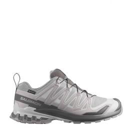 Salomon Scarpa XA Pro 3D V9 Gore-Tex Alloy/Castelrock/Lunar Rock - 1