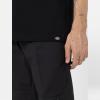 Dickies T-Shirt Sitkin Black Imperial - 7