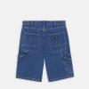 Dickies Jeans Shorts Garyville Vintage Classic Blue - 10