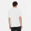 Dickies T-Shirt Timberville White - 4