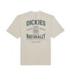 Dickies T-Shirt Elliston Cloud - 2